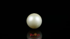 Pearl - 8.65 Carat