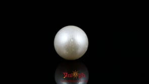 Pearl - 10.1 Carat