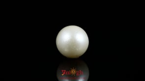Pearl - 9.6 Carat
