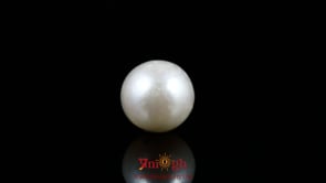 Pearl - 8.85 Carat