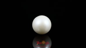 Pearl - 9 Carat