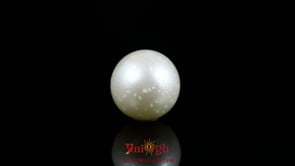 Pearl - 10.55 Carat