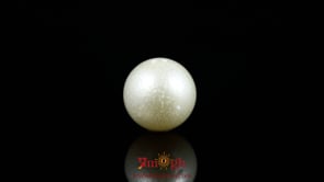 Pearl - 9.3 Carat