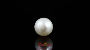 Pearl - 9.5 Carat