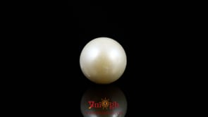 Pearl - 9.15 Carat