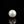 Load and play video in Gallery viewer, Pearl - 4.75 Carat
