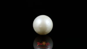 Pearl - 9.8 Carat