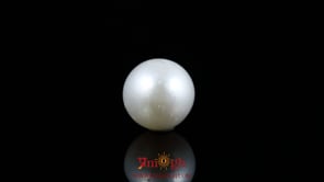 Pearl - 8.7 Carat