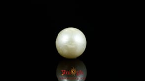 Pearl - 7.9 Carat