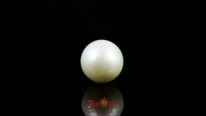 Pearl - 7.3 Carat