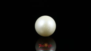 Pearl - 9.9 Carat