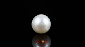 Pearl - 9.7 Carat