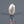 Load and play video in Gallery viewer, Keshi Pearl - 4.75 Carat
