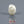 Load and play video in Gallery viewer, Keshi Pearl - 4.75 Carat
