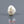 Load and play video in Gallery viewer, Keshi Pearl - 4.85 Carat
