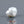 Load and play video in Gallery viewer, Keshi Pearl - 7.4 Carat
