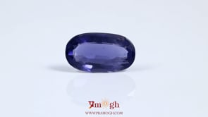 Iolite (Neeli) - 3.25 Carat