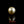Load and play video in Gallery viewer, Golden Pearl - 5.3 Carat
