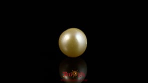 Golden Pearl - 4.2 Carat
