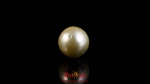 Golden Pearl - 4.75 Carat