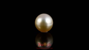 Golden Pearl - 5.1 Carat