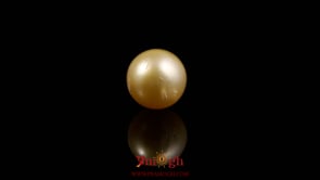 Golden Pearl - 4.85 Carat