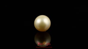Golden Pearl - 4.5 Carat