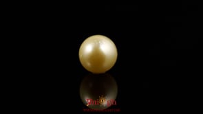 Golden Pearl - 4.83 Carat