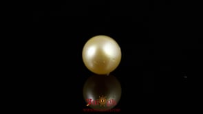 Golden Pearl - 4.55 Carat