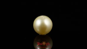 Golden Pearl - 6.5 Carat