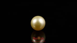 Golden Pearl - 4.5 Carat