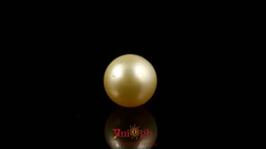 Golden Pearl - 4.9 Carat