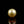 Load and play video in Gallery viewer, Golden Pearl - 4.9 Carat
