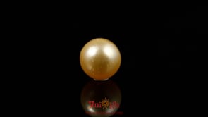 Golden Pearl - 4.2 Carat