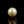 Load and play video in Gallery viewer, Golden Pearl - 5.05 Carat
