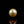 Load and play video in Gallery viewer, Golden Pearl - 3.9 Carat
