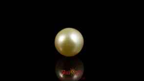 Golden Pearl - 4.1 Carat