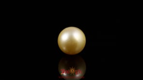 Golden Pearl - 3.9 Carat