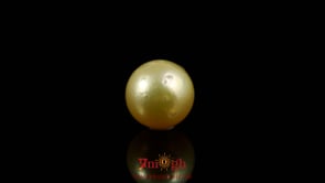 Golden Pearl - 4.65 Carat