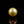 Load and play video in Gallery viewer, Golden Pearl - 4.8 Carat
