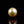 Load and play video in Gallery viewer, Golden Pearl - 5.5 Carat

