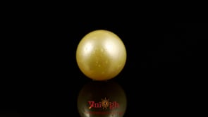 Golden Pearl - 9.9 Carat