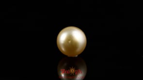 Golden Pearl - 4.2 Carat