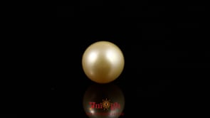 Golden Pearl - 4.2 Carat