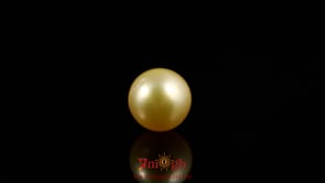 Golden Pearl - 3.7 Carat