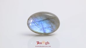 Labradorite - 26.45 Carat