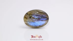 Labradorite - 21.5 Carat