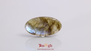 Labradorite - 16.65 Carat