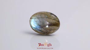 Labradorite - 23.1 Carat