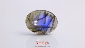 Labradorite - 21.65 Carat